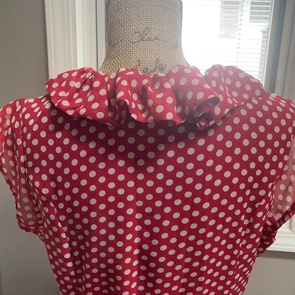 Beautiful 50’s inspired polka dot dress! - Picture 6 of 7